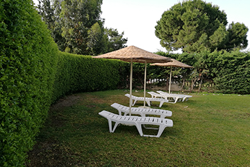img-6